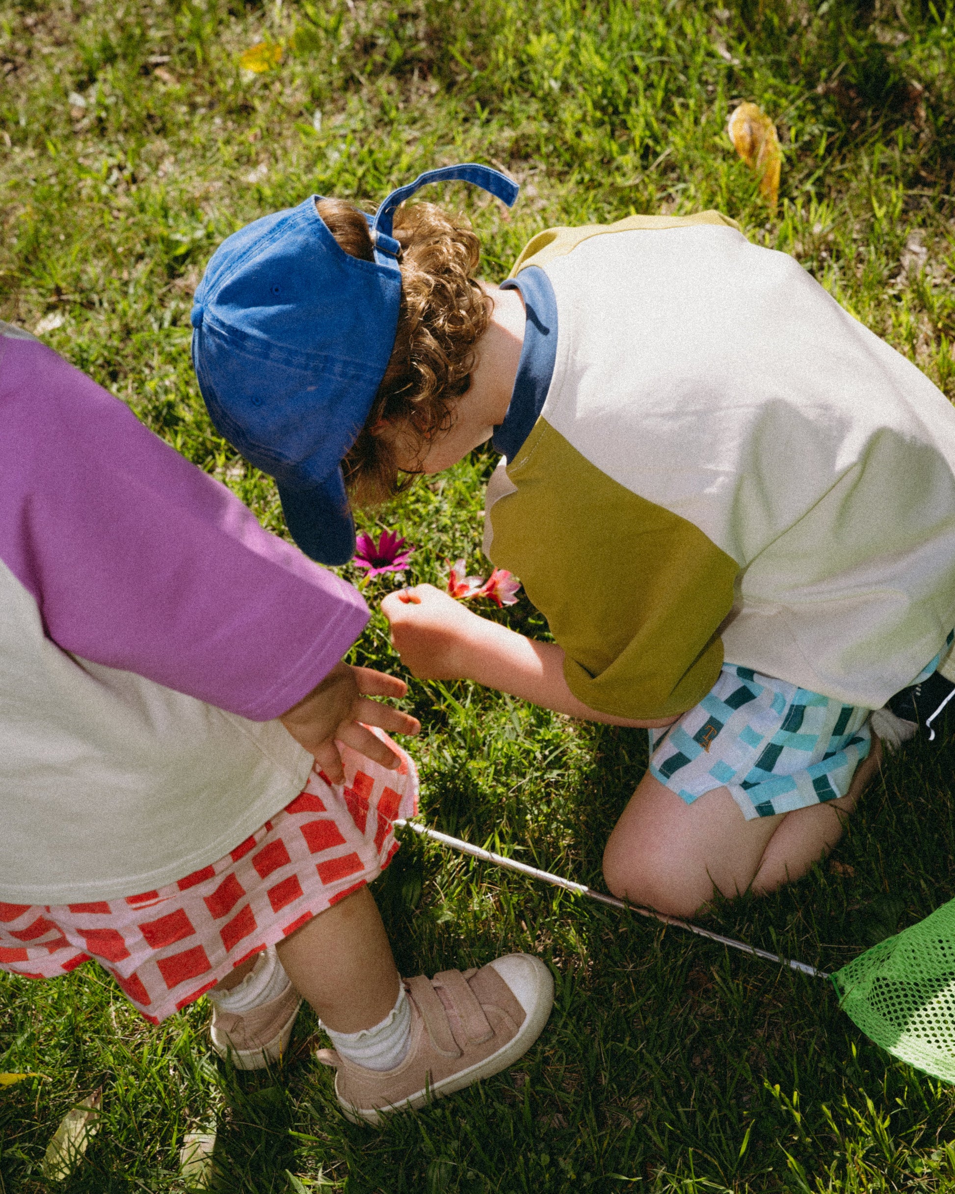 Two children playing with a butterfly net on grass